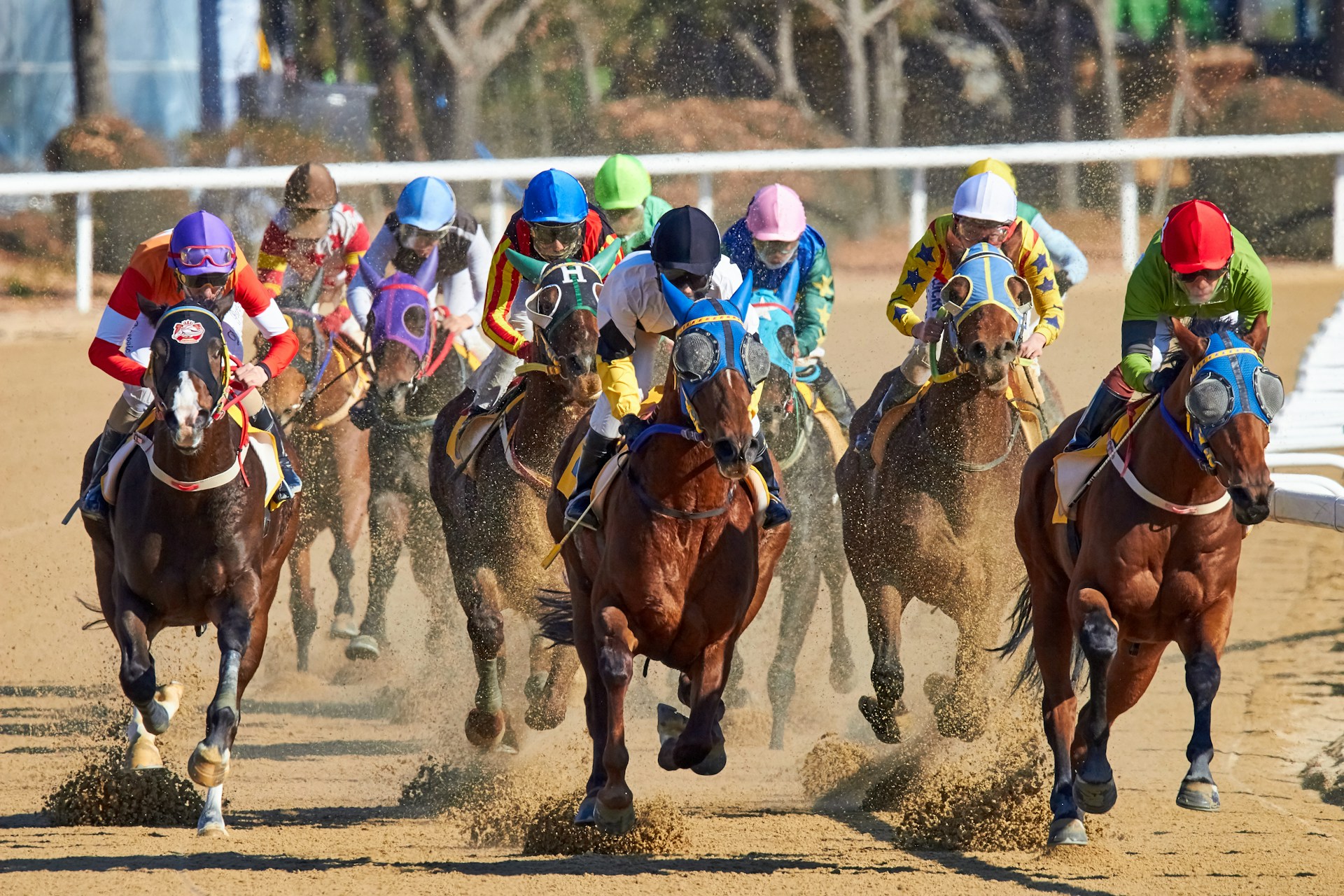 Kentucky Derby Travel Tips: What To Pack Before Going To Churchill Downs