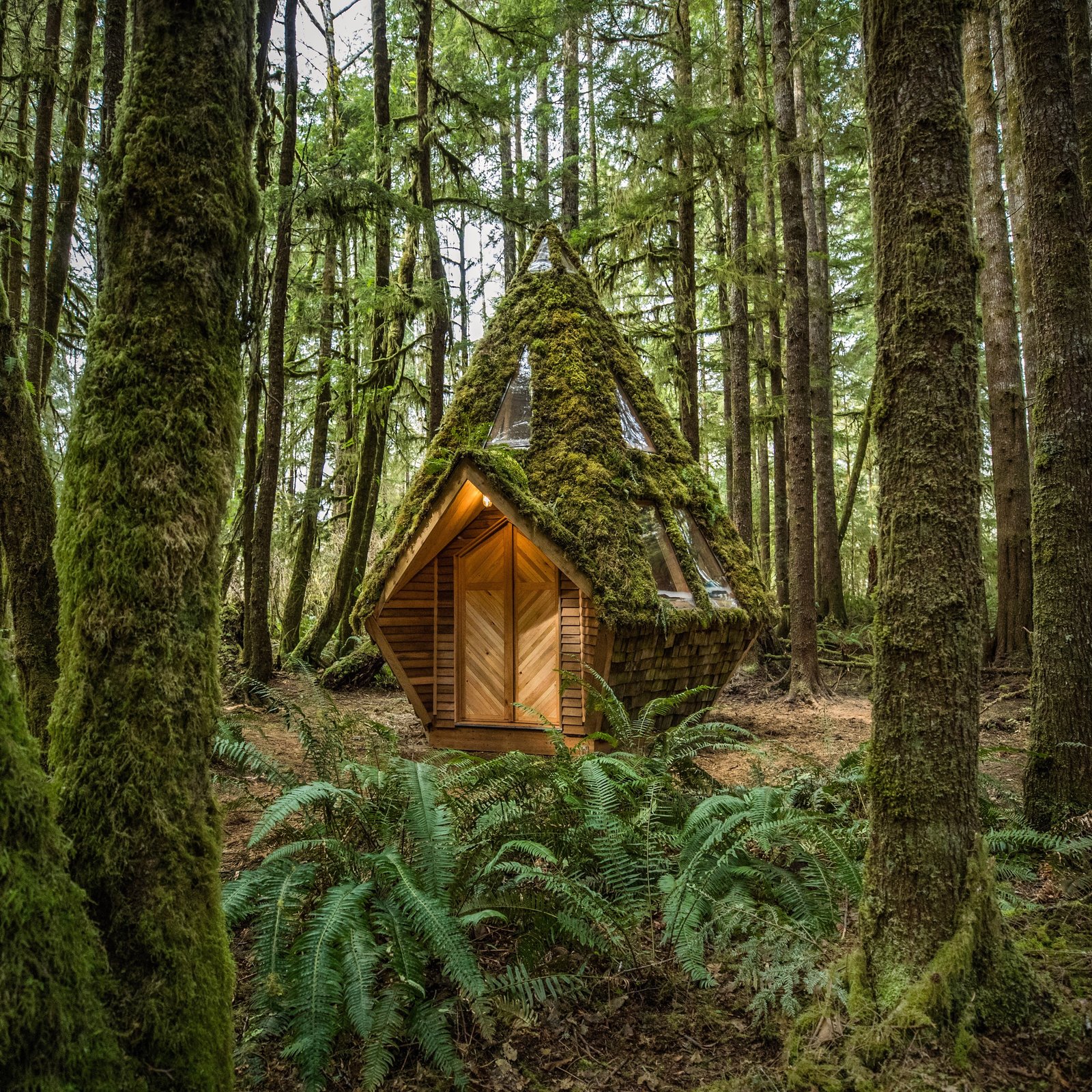 Moss Covered Diamond Cabin Looks Straight Out of a Fairytale