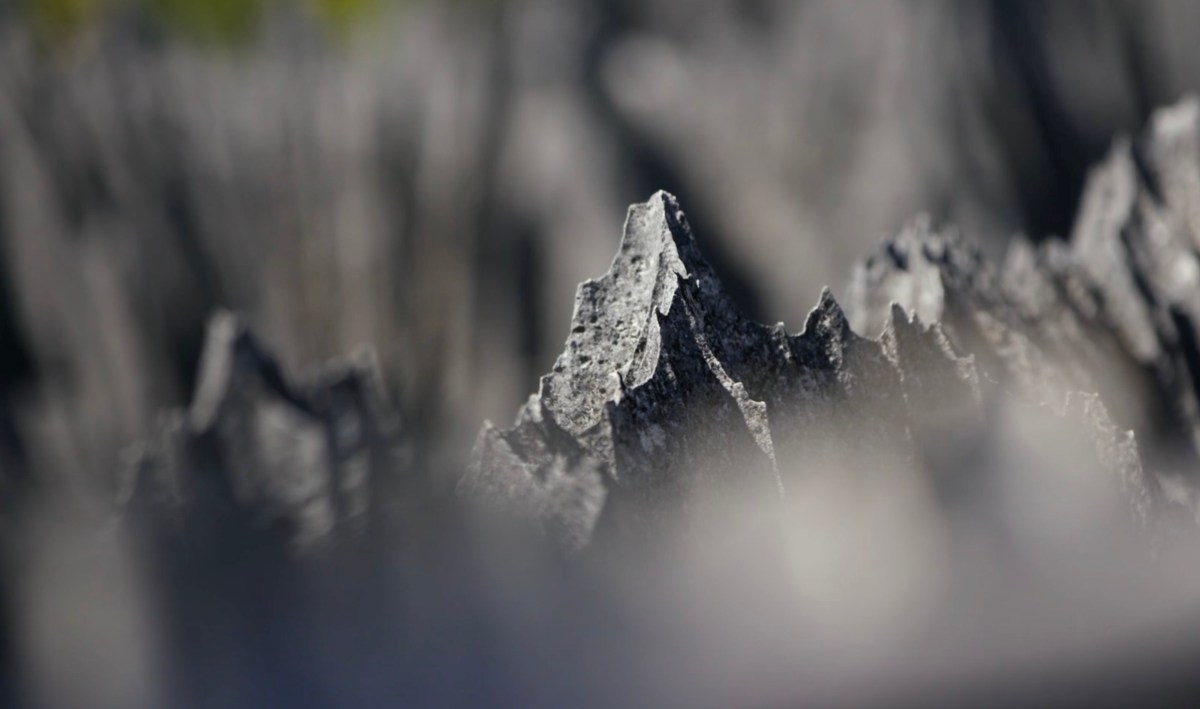 Close-up of razor-sharp jagged rock formations in Madagascar stone forest